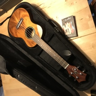 Boston ukulele softcase
