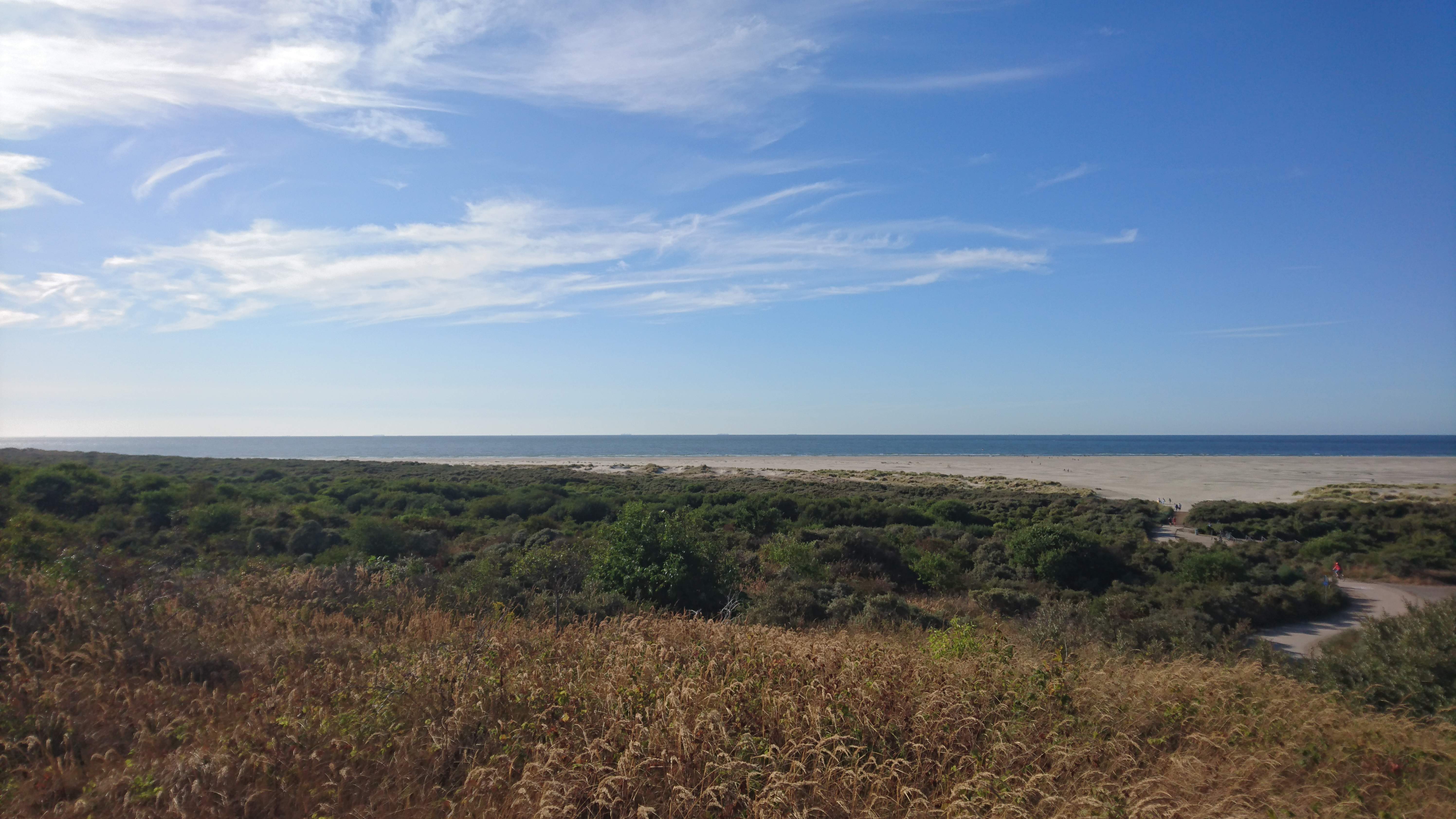 Prachtig uitzicht vanaf de duinen over de zee en het strand bij Renesse.