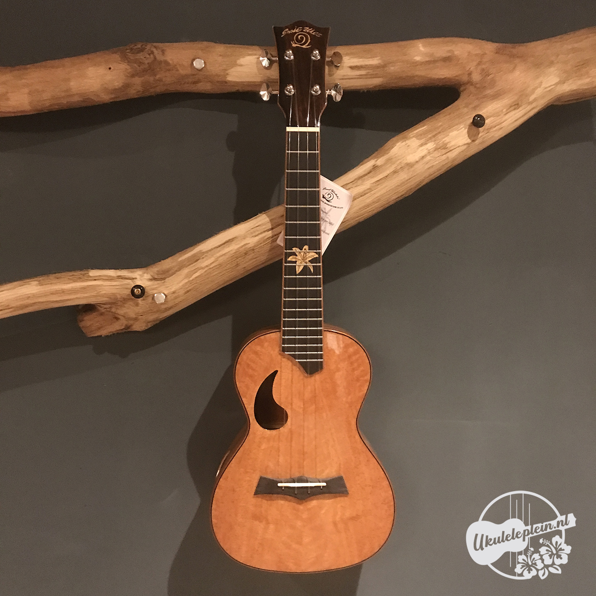 Snail BH-2C Mango ukulele
