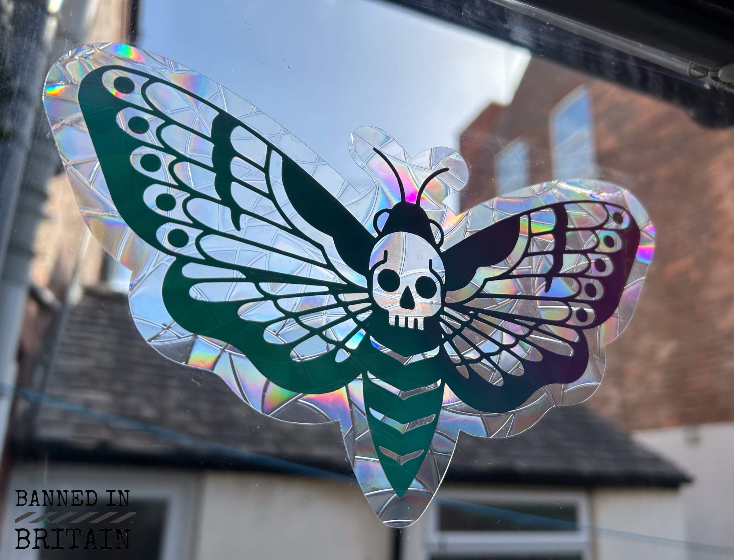 Deaths Head Moth Suncatcher