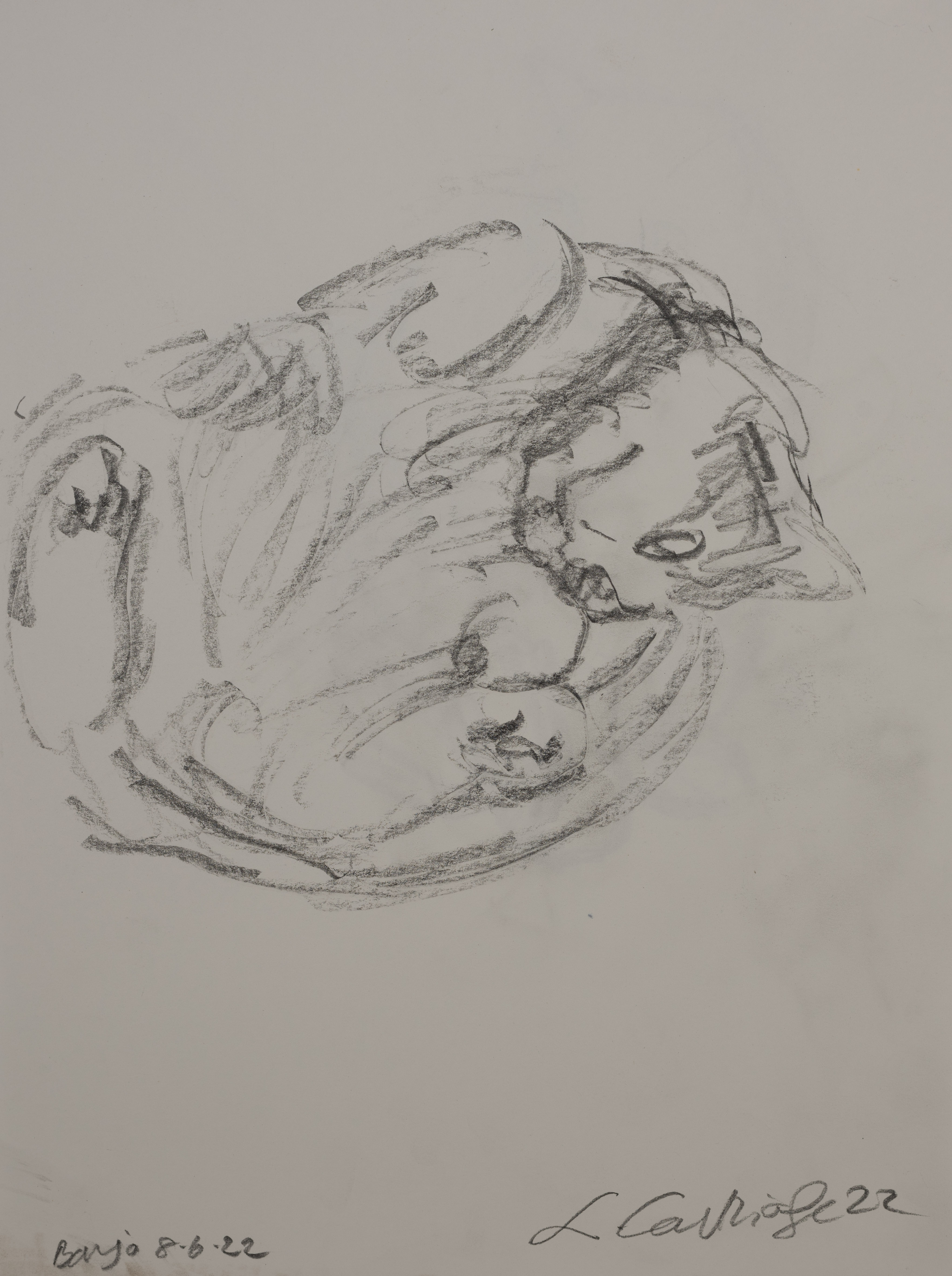 Drawing: Banjo the Cat (2022-308)