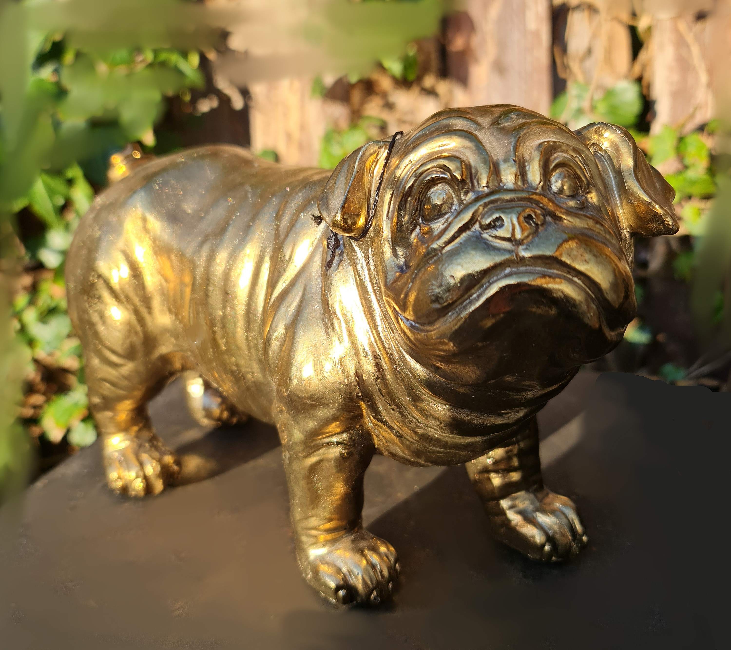 Goudkleurige Bulldog ( decoratie )