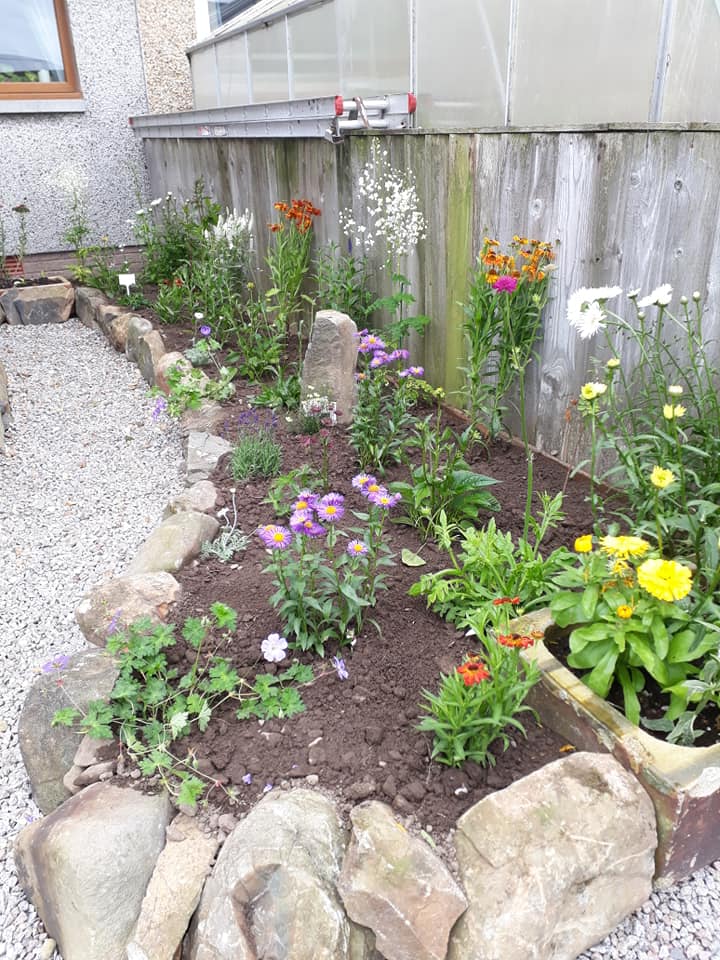 Fencing Contractors Dumfries and Galloway