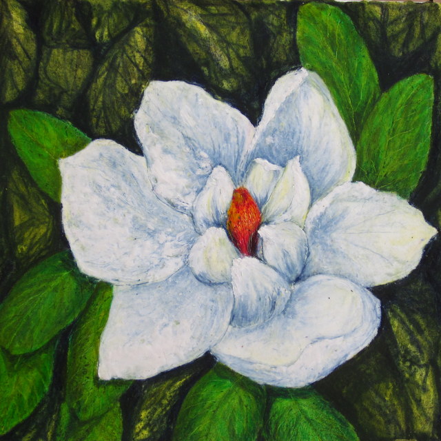 A flowers portrait one whote magnolia grandiflora