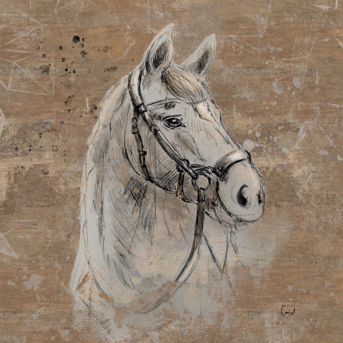 Potlood tekening paarden hoofd ingekleurd landelijke wanddecoratie