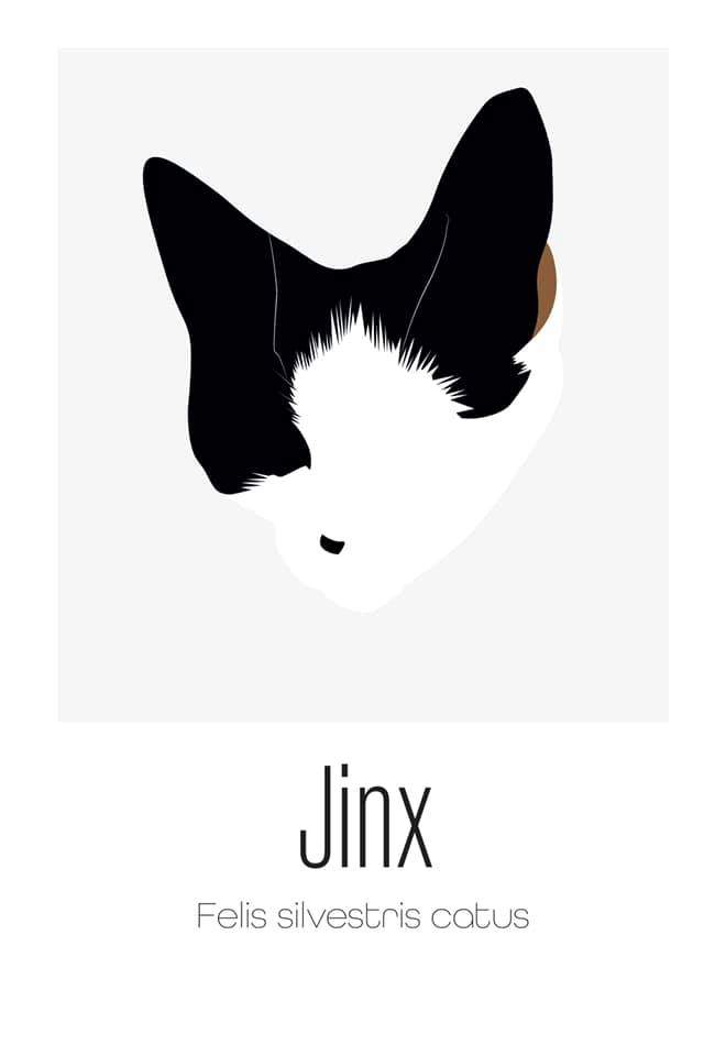 Zwart-wit portret kat