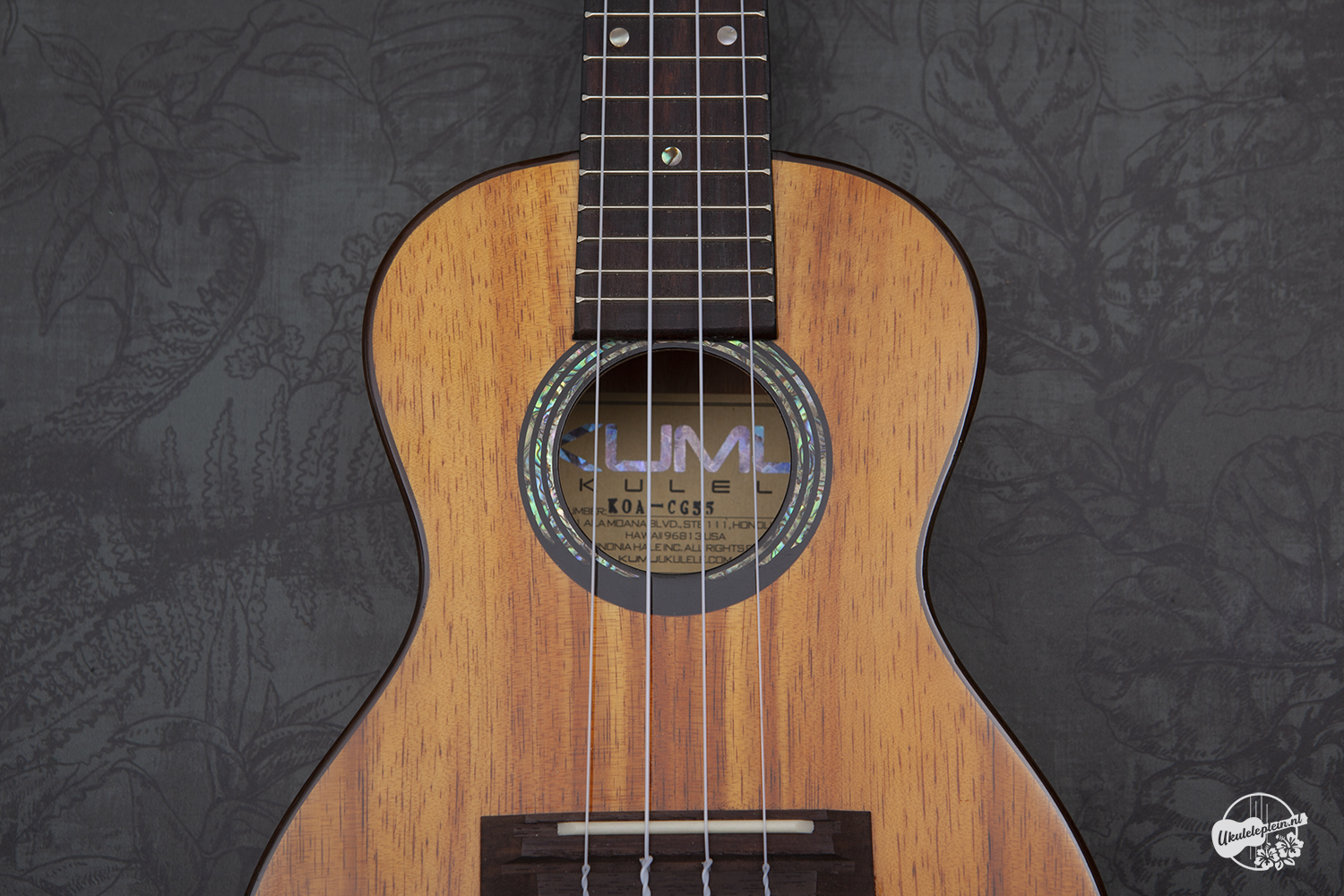 KUMU_7_cg55_ukulelepleinjpg