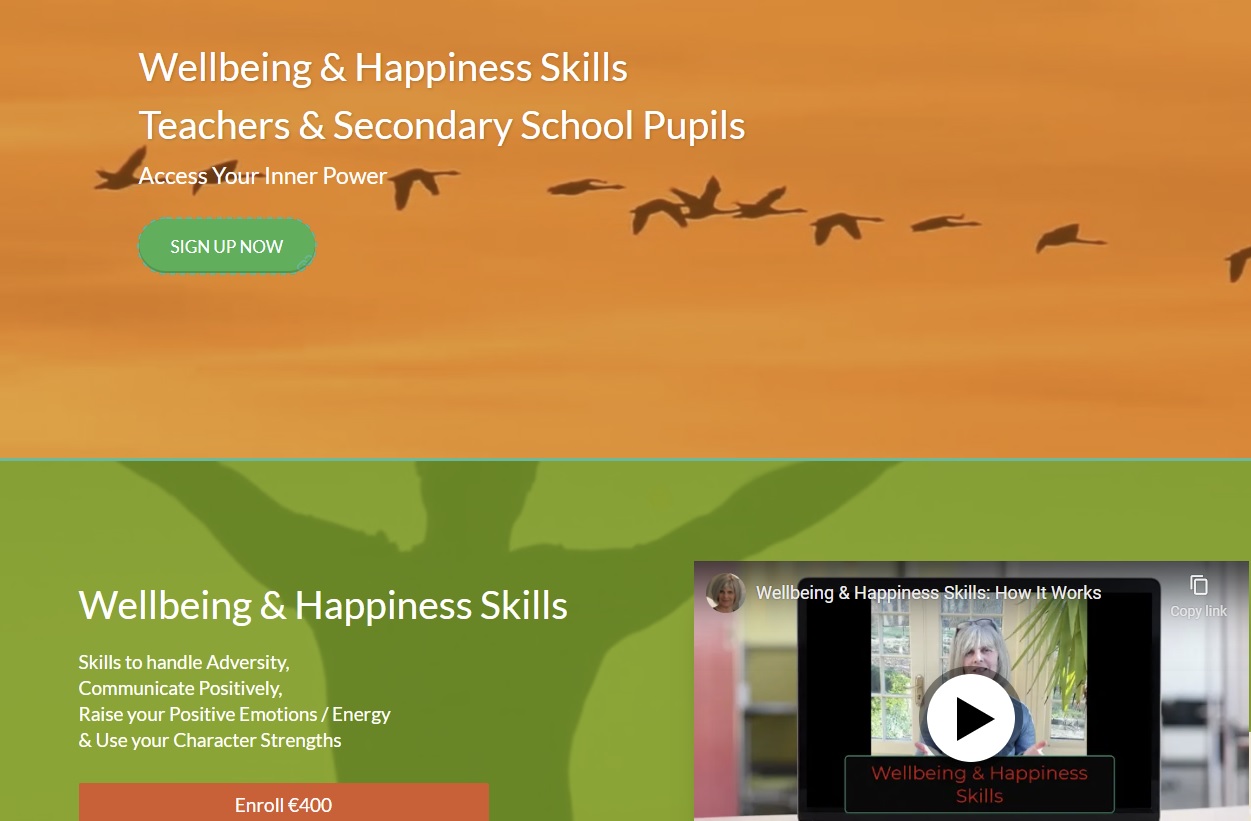 ONLINE Wellbeing & Happiness Skills programme FOR SCHOOLS