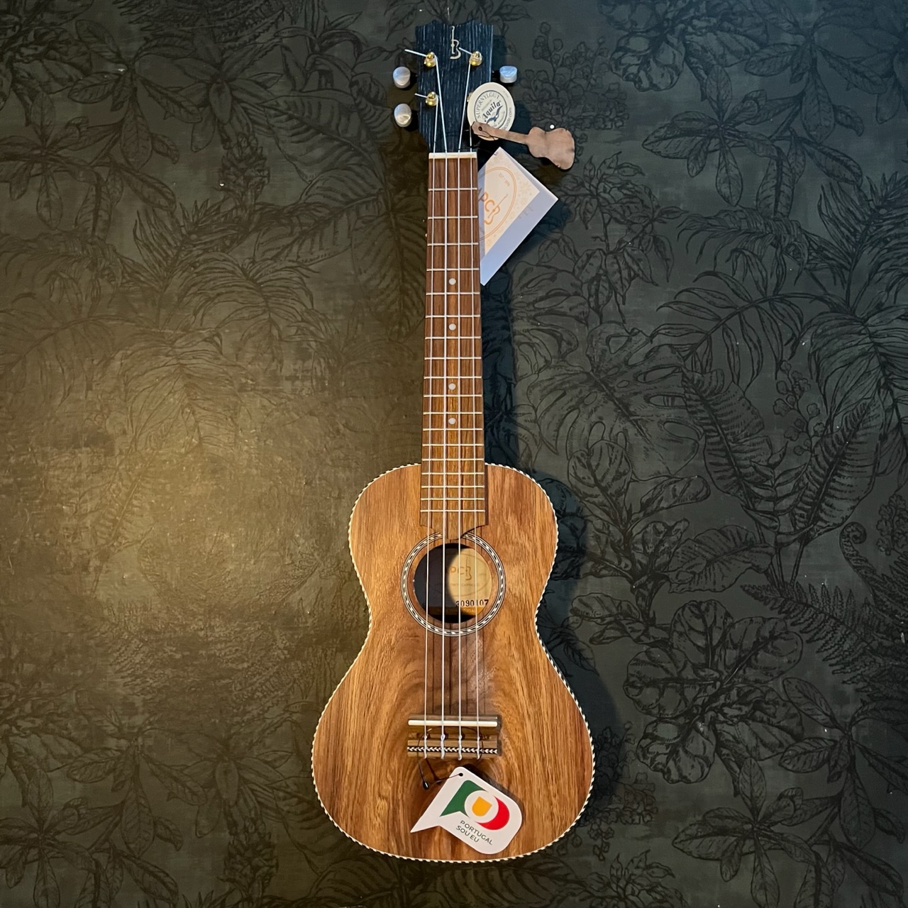 APC concert traditional (Antonio Carvalho ukulele)