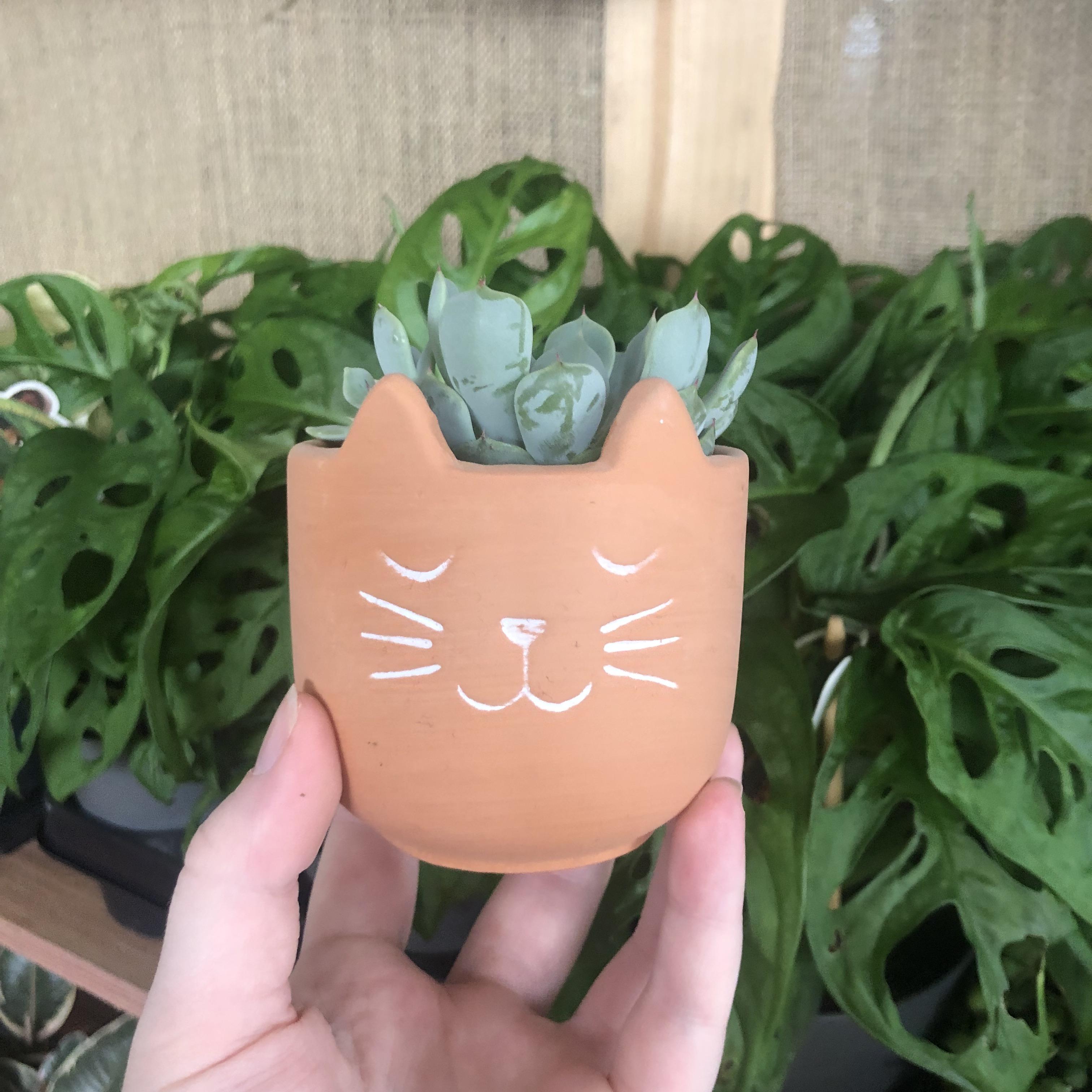 Mini Cat Terracotta Planter