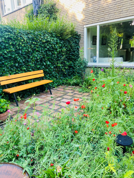 Een klein terras in de voortuin, omgeven door groen