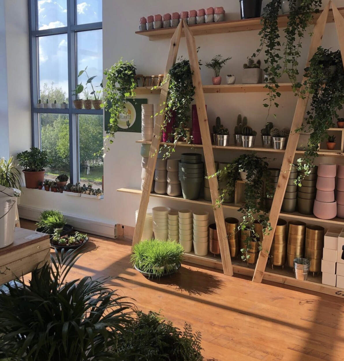 CORK'S 96FM - New Cork shop is HEAVEN for plant-lovers