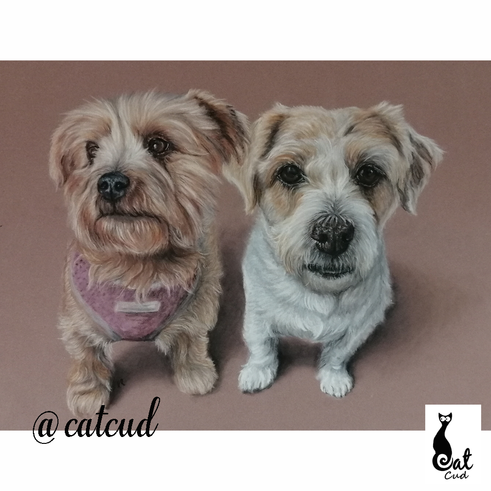 30 x40cm Pastel Portrait