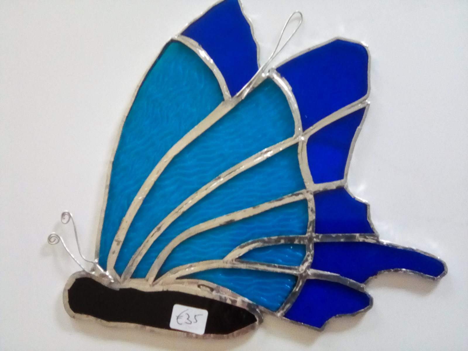 Butterfly Flying