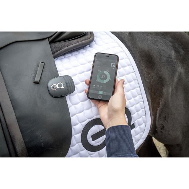 equestic-saddle-clip_640x640_13234jpg