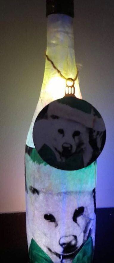 Personalised Pet Light Up Bottle & Wooden Christmas Decoration