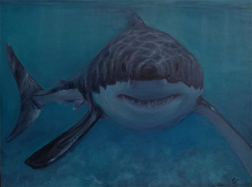 Acrylic Shark Painting