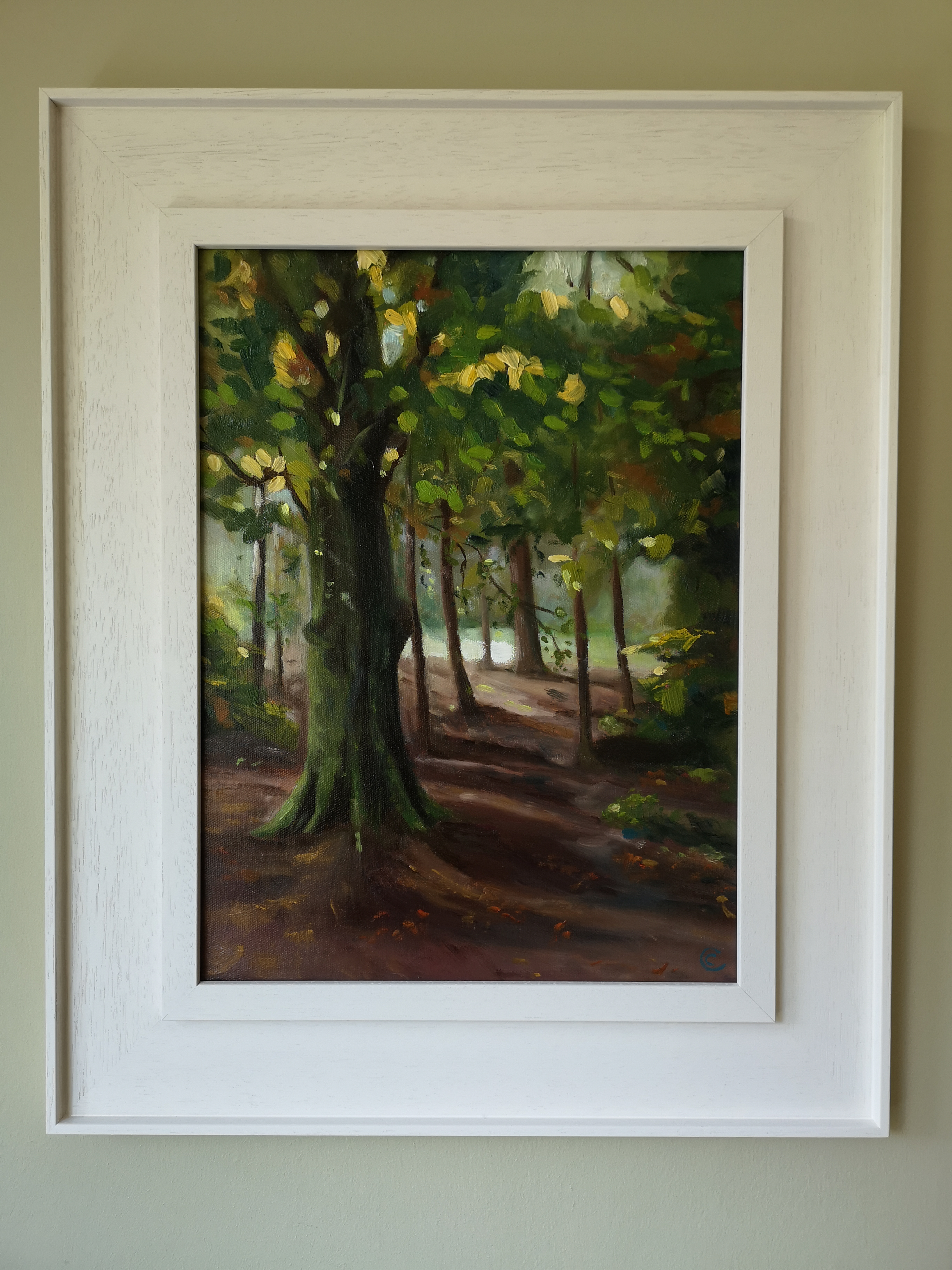 Killiney Park