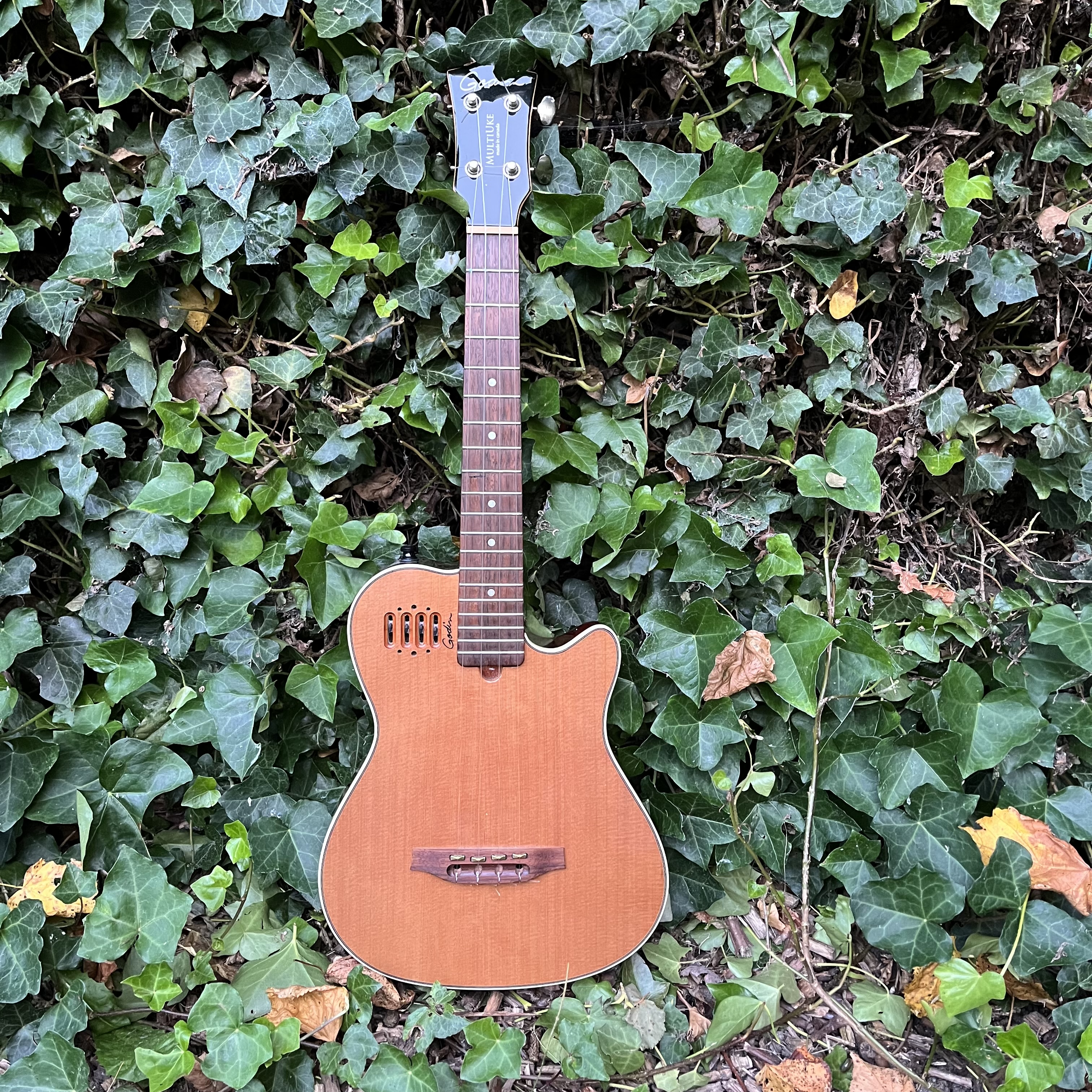 Godin  Multi Uke Natural HG [pre loved]