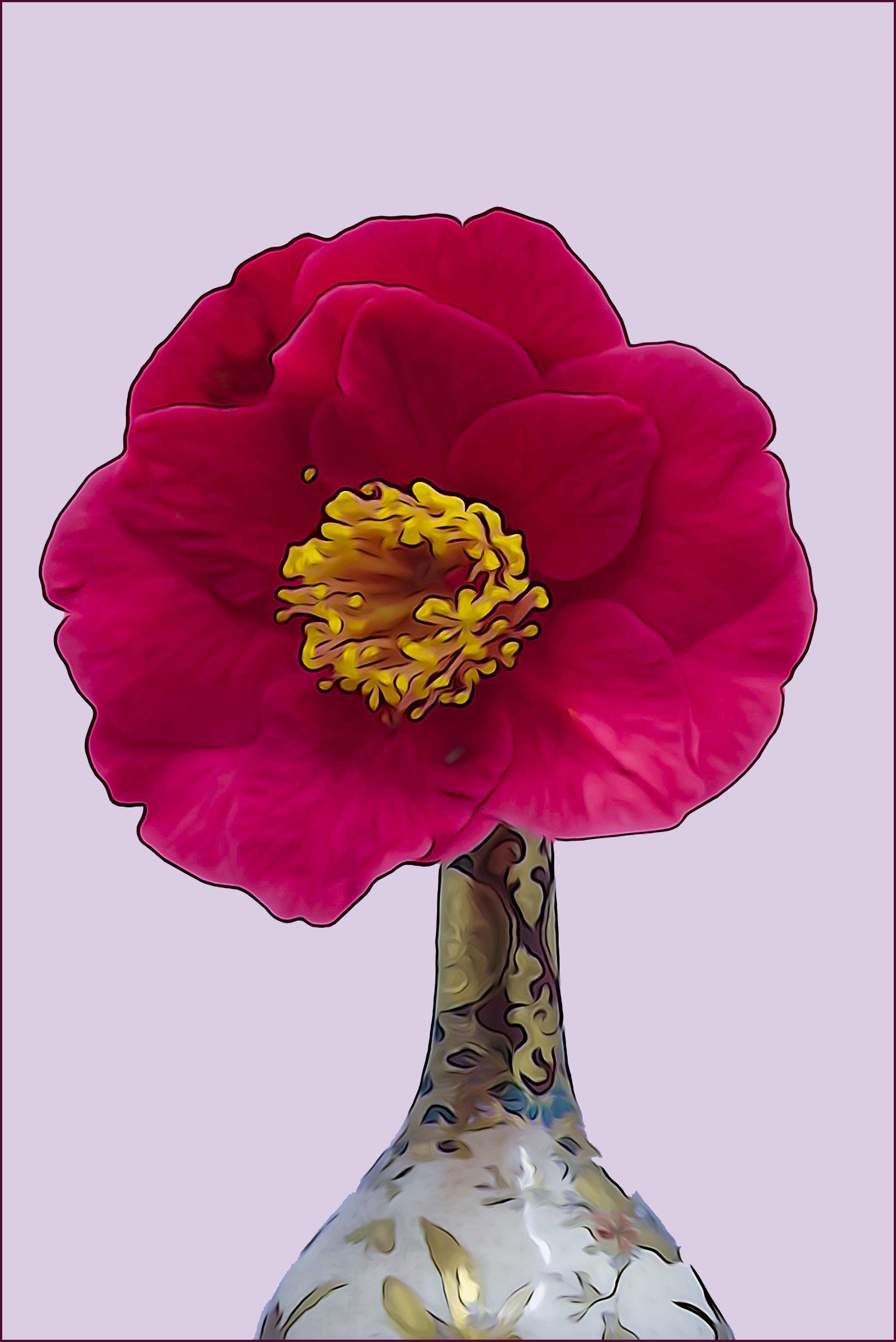 Red Camellia A3+ framed £250