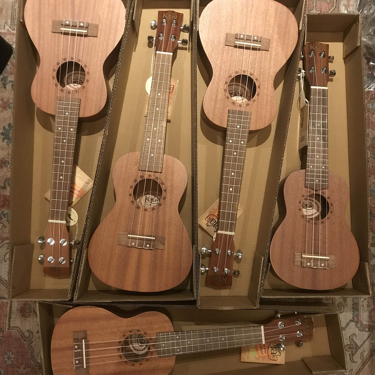 basisschool startset ukulele klas