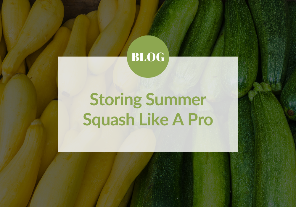 How to Store Summer Squash
