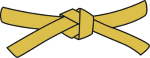 yellow beltpng