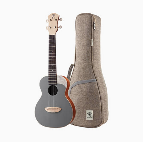 aNueNue UC-10-QS concert
