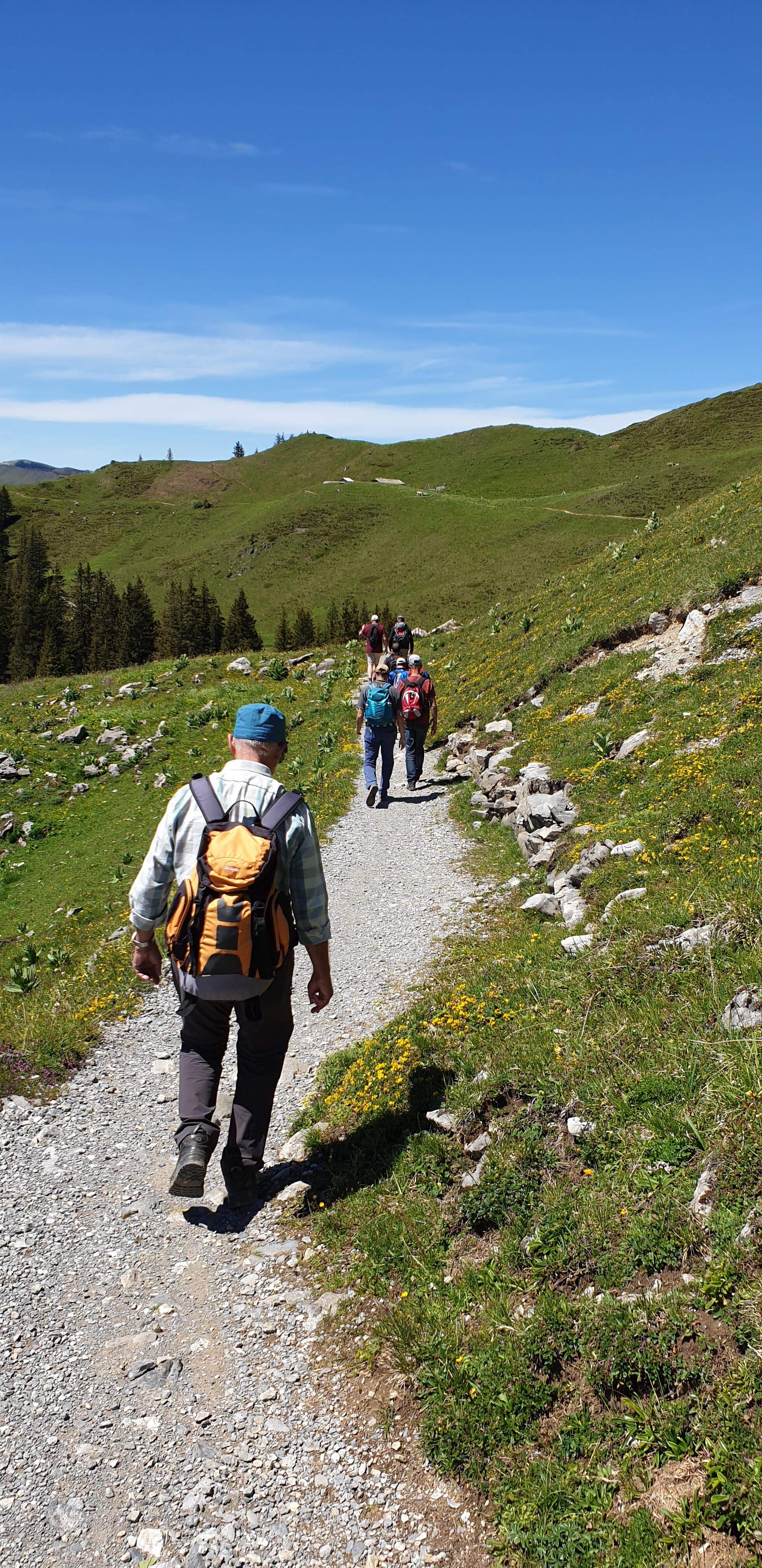 Wanderung zum Aussichtspunkt Rosenbold