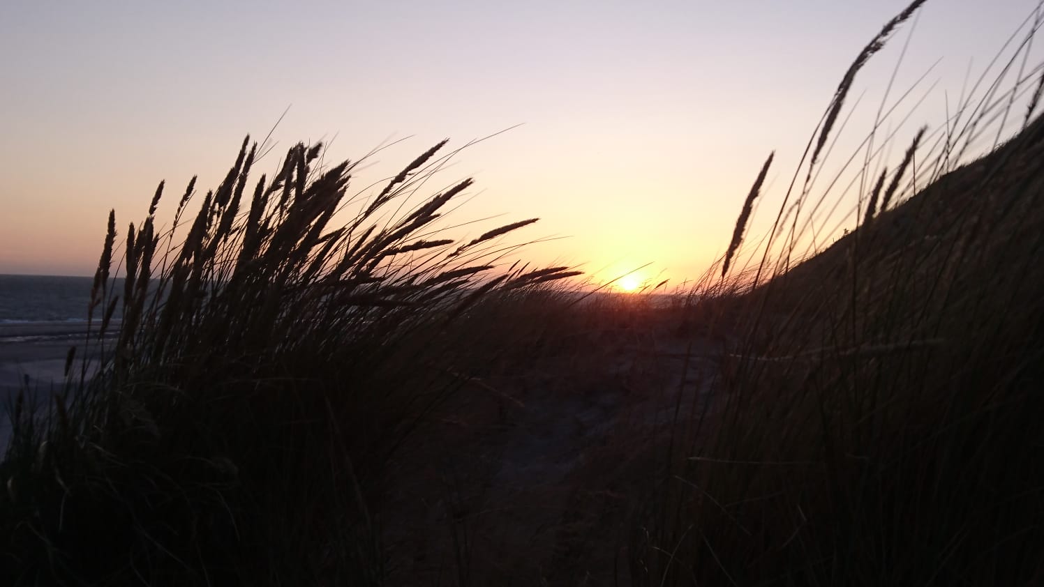 Zonsondergang op de duinen in Westerchouwen.