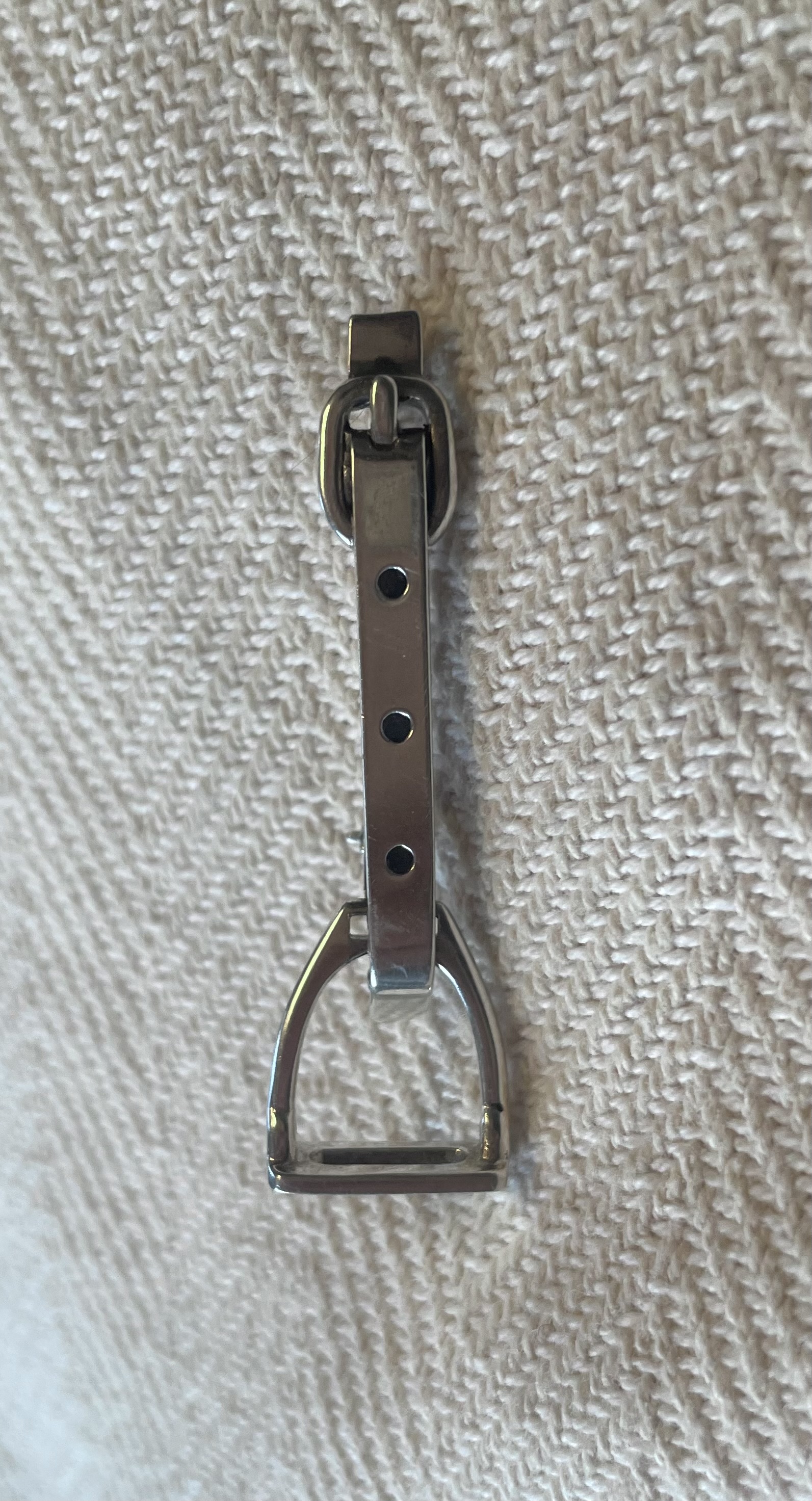 Stirrup on buckle brooch