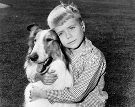 The Heroic love of Lassie and Timmie
