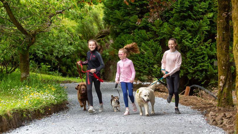 Enjoy your time here with your furry friends who also love it here at Barnagh.