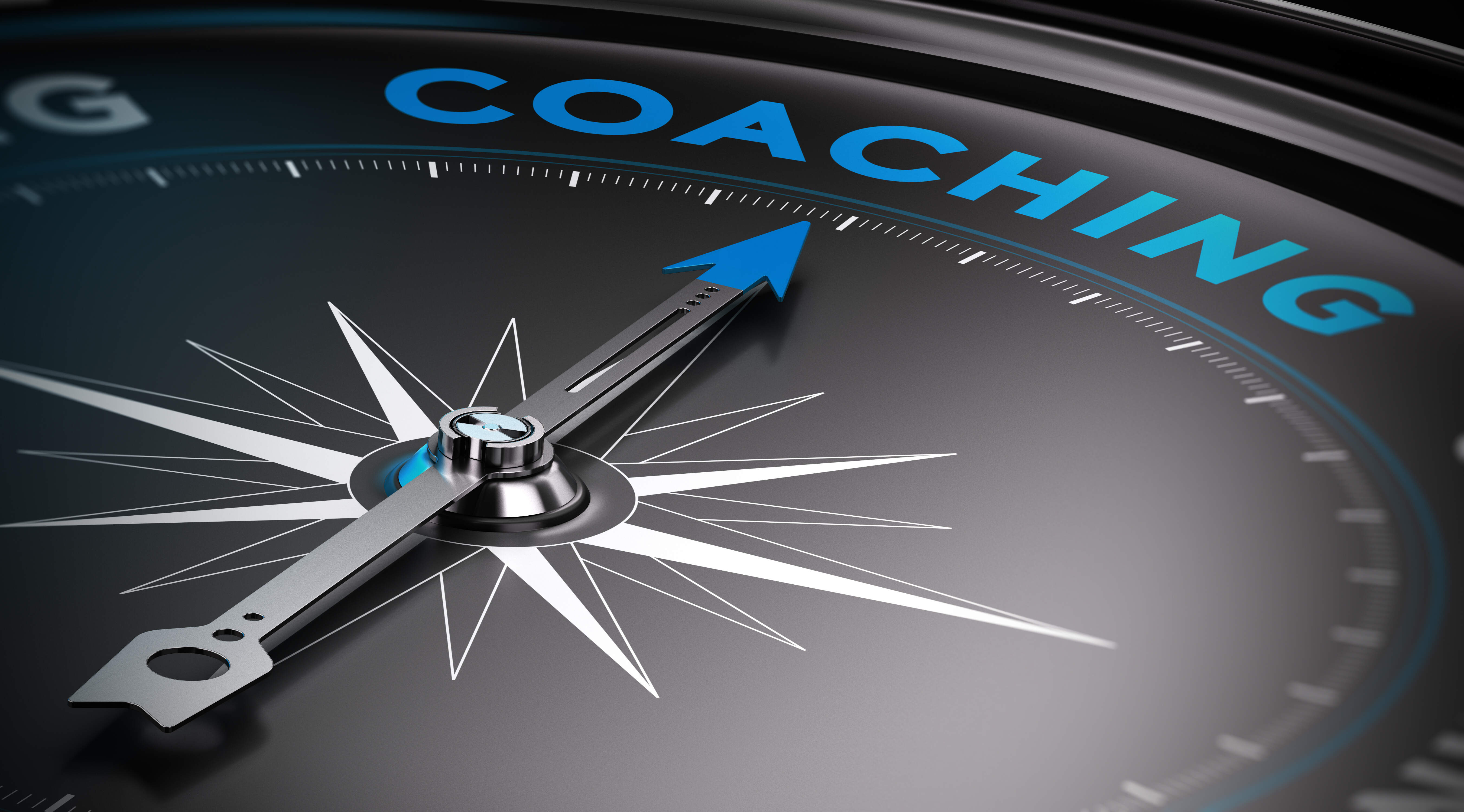 Coaching compass to choose path