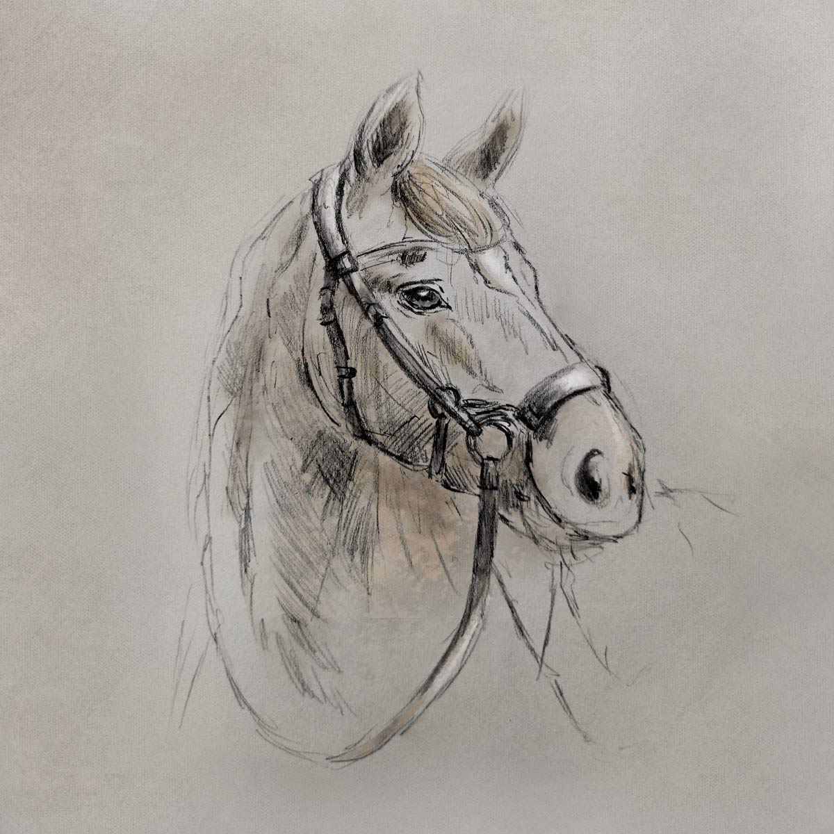 Potlood tekening paarden hoofd ingekleurd landelijke wanddecoratie