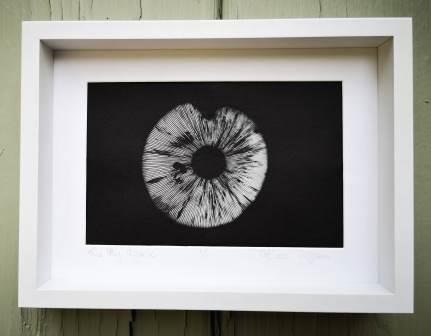 Small red toadstool spores on black in white frame