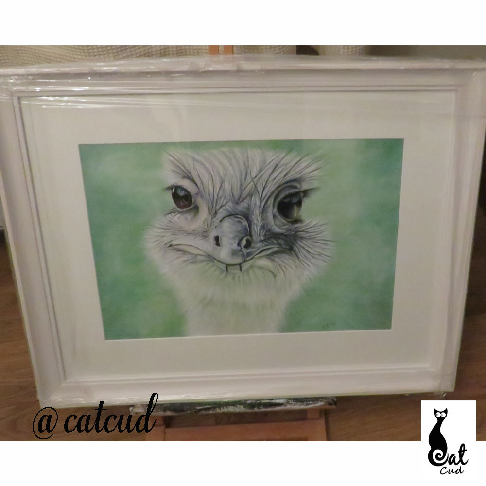 Ostrich Pastel Painting