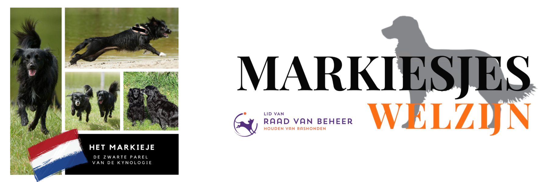 Markiesjes Welzijn 