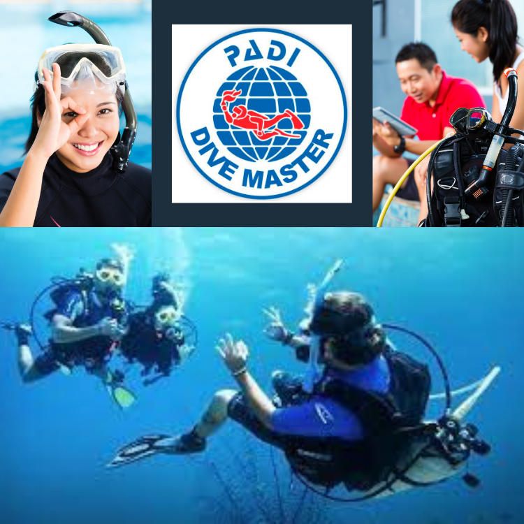 Divemaster