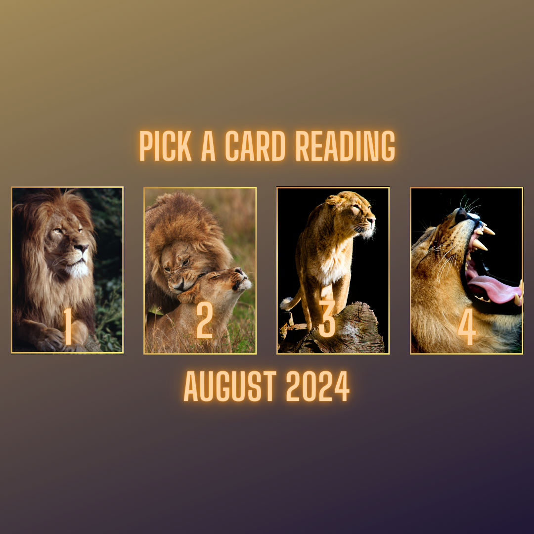 August Pick a Card Reading