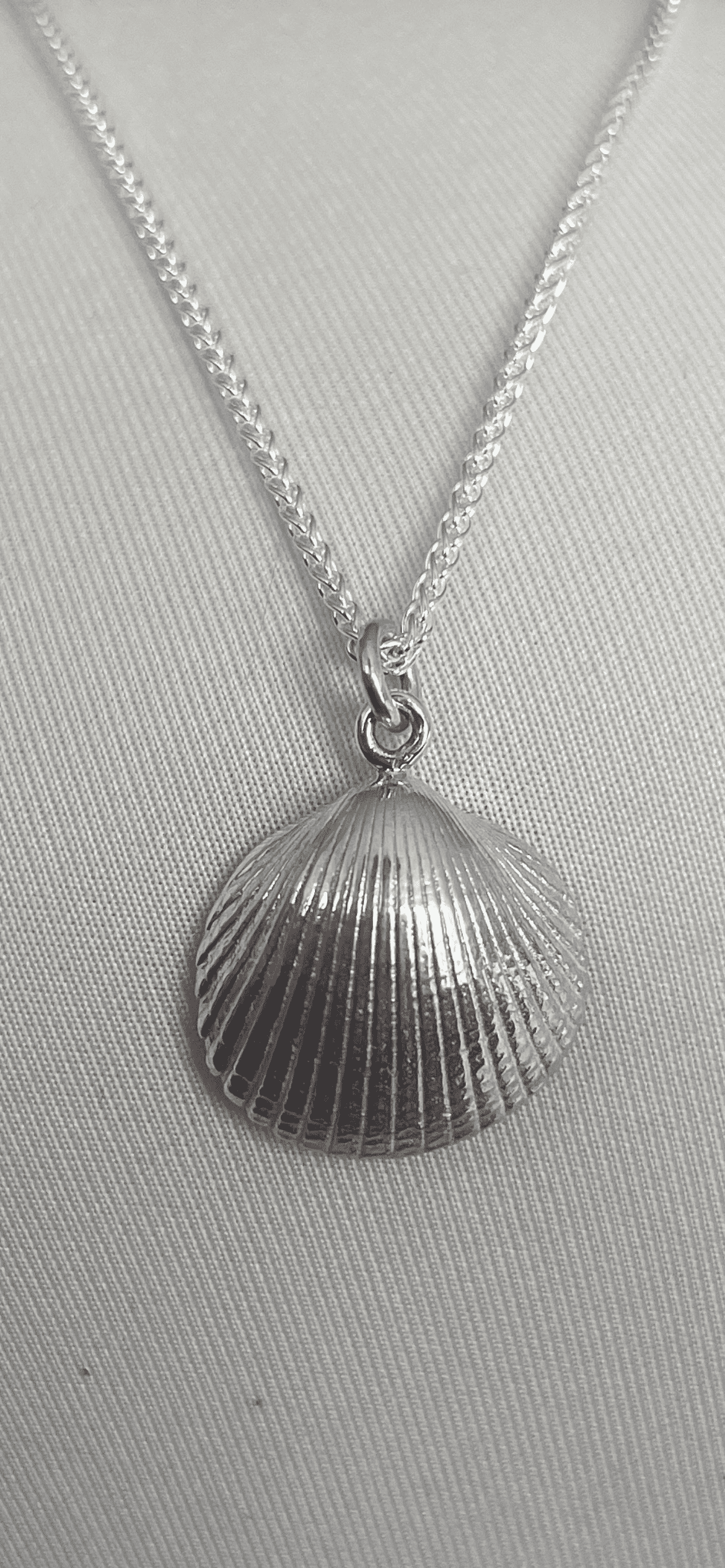 Shell pendant on chain (large)