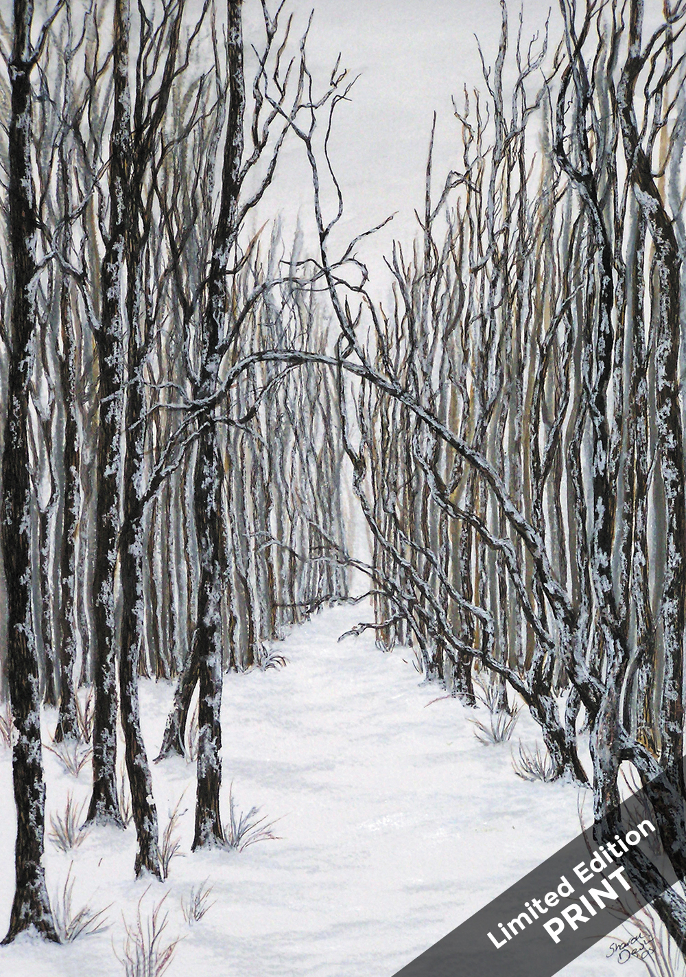 Avenue of Trees (Limited Edition Print Reproduction)