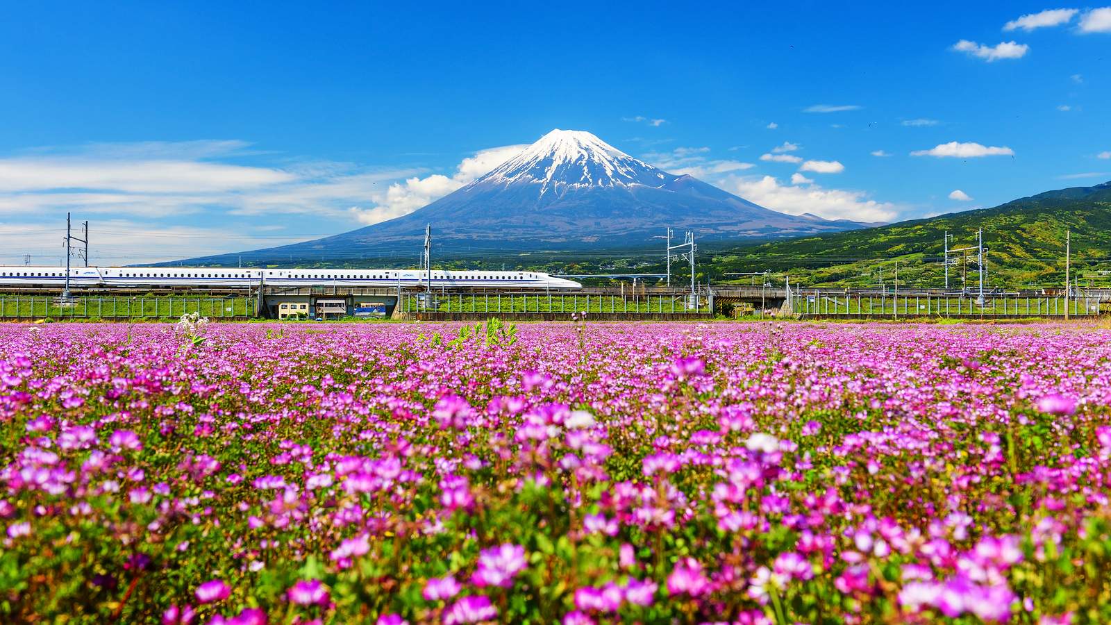 Zugreise Japan, Shinkansen, Japan Railpass,