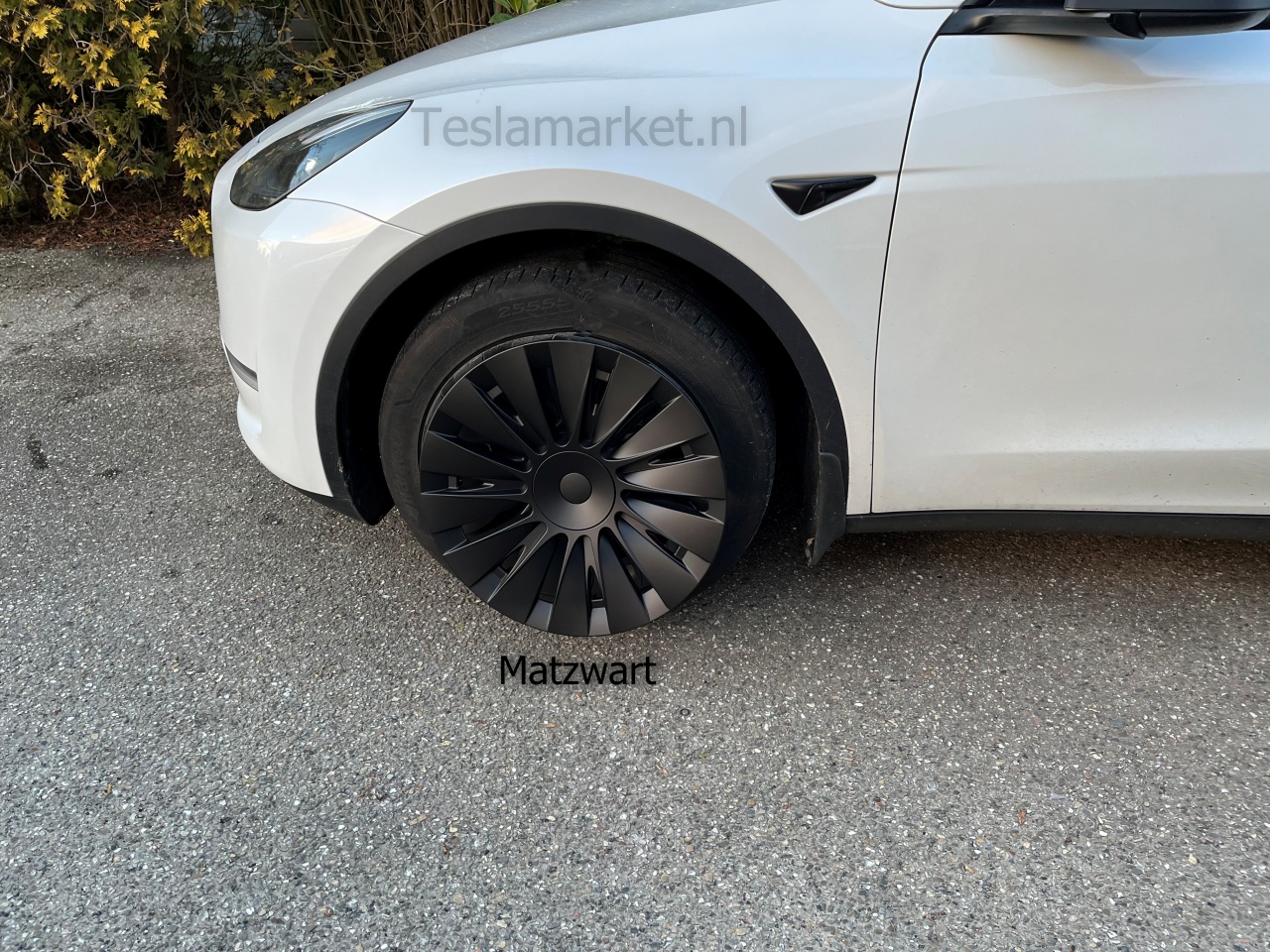 Tesla Model Y Induction Straight blade