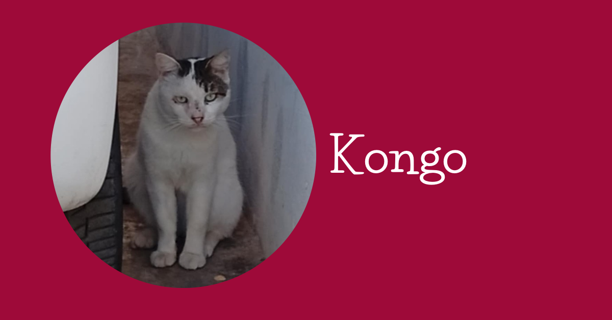 KONGO
