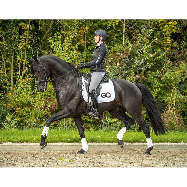 equestic-saddle-clip_640x640_13236jpg
