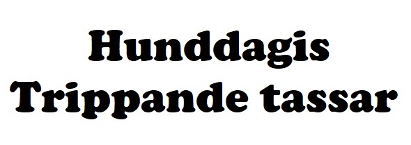 ktext1jpg