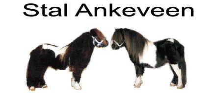logo_ankeveenjpg