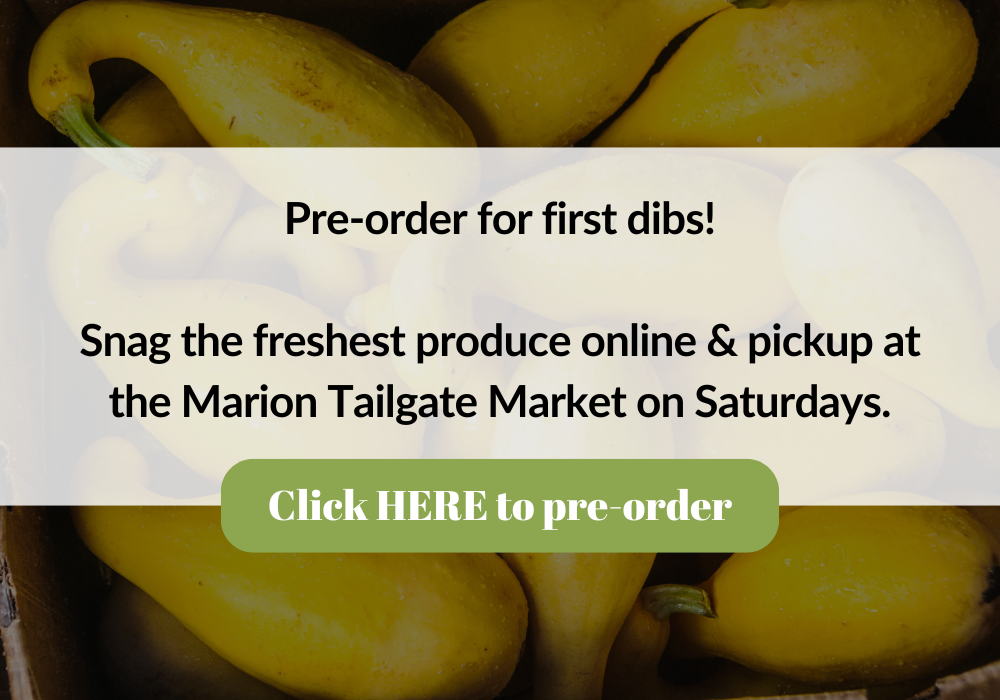 pre-order-blog-banner-bottompng
