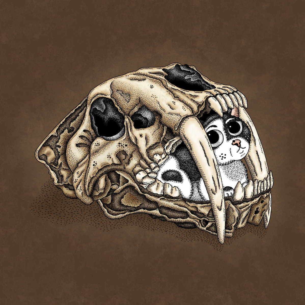 Hidden Kitten: Saber Tooth Skull by Jenny Bommert, 2016